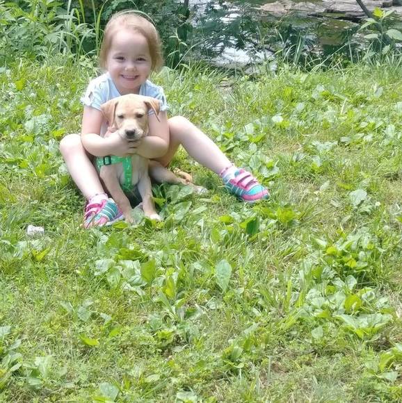 Meet your Posher, Lisa - Picture 1 of 1